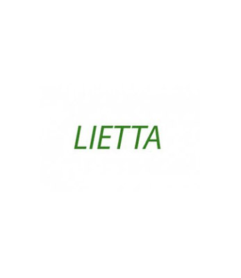 Lietta